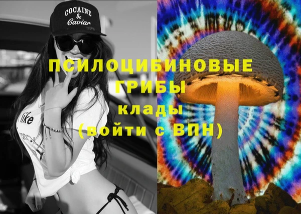 мяу мяу мука Коряжма